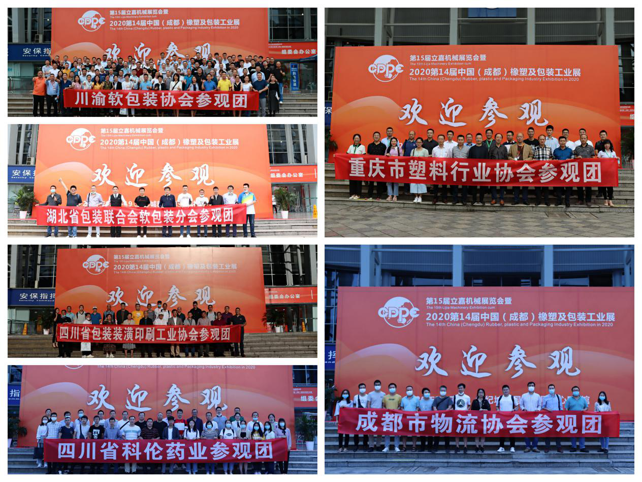 图片6