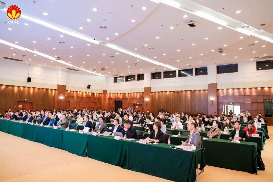 图片 11
