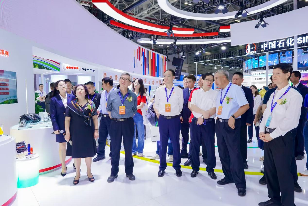 图片 6